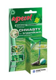 Chwasty w trawniku 