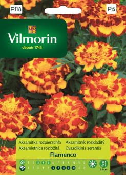 VG - AKSAMITKA ROZPIERZCHŁA NISKA FLAMENKO