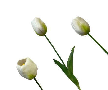 TULIPAN POJEDYNCZY GUMA 42CM - 14185WH