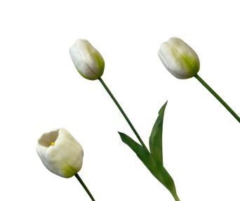 TULIPAN POJEDYNCZY GUMA 42CM - 14185WH