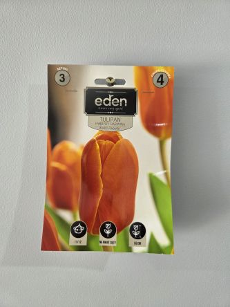 VG - TULIPAN WORLDS FAVOURITE