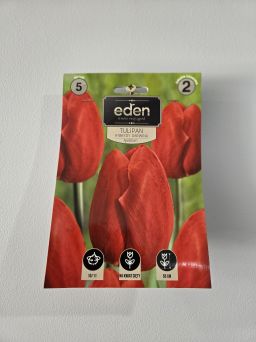 VG - TULIPAN APELDOORN