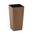 DONICZKA FINEZJA ECO DŁUTO - 2