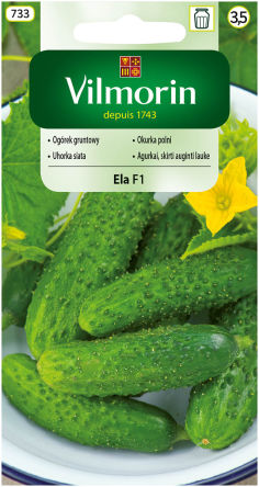 VG - OGÓREK GRUNTOWY ELA  5,0G