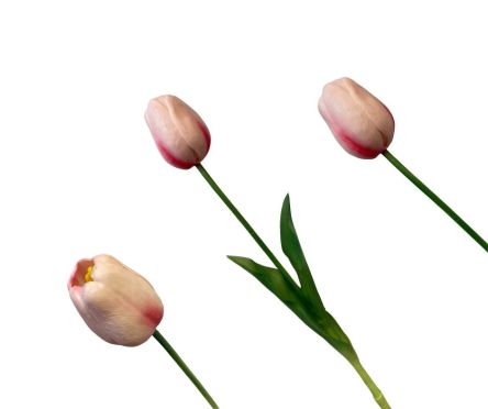 TULIPAN POJEDYNCZY GUMA 42CM - 14185LTPI