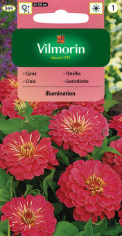 VG - CYNIA WYTWORNA  DALIOWA ILLUMINATION