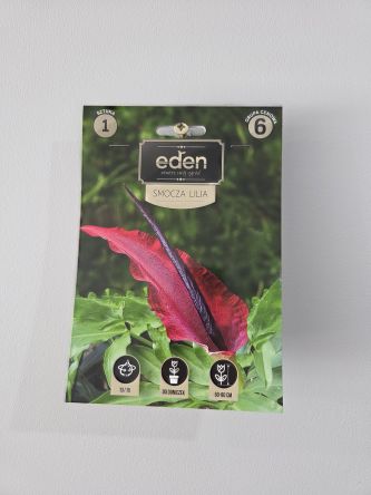 VG - DRACUNCULUS VULGARIS - SMOCZA LILIA