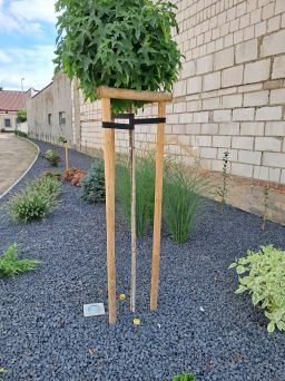 ZESTAW DO PALIKOWANIA DRZEWA WYS. 150CM ŚR. 4CM