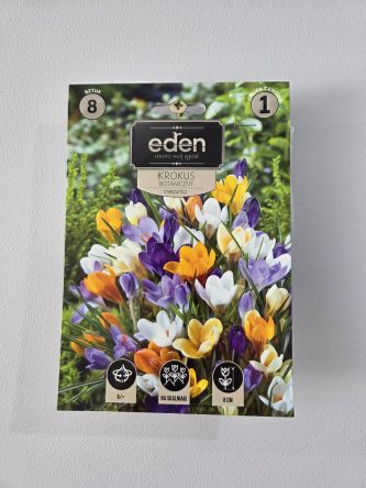 VG - KROKUS BOTANICZNY MIX