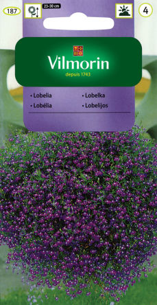VG - LOBELIA ZWISAJĄCA NIEBIESKA