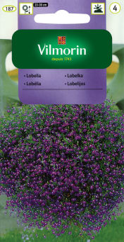 VG - LOBELIA ZWISAJĄCA NIEBIESKA