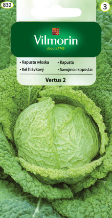 VG - KAPUSTA WŁOSKA VERTUS II 2G