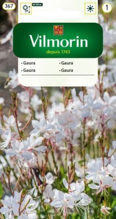 VG - Gaura 0,4g