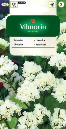 VG-ZATRWIAN WRĘBNY BIAŁY 0,2G - 40071