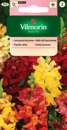 VG - LWIA PASZCZA HIACYNTOWA