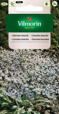 VG - ZATRWIAN TATARSKI BIAŁY