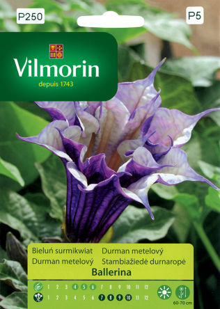 VG - BIELUŃ SURMIKWIAT BALLERINA