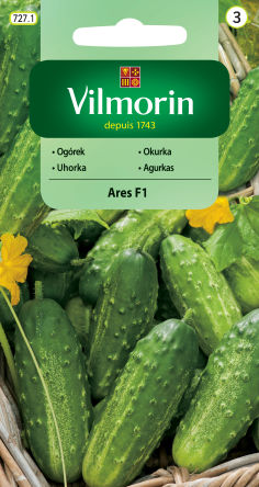 VG - OGÓREK GRUNTOWY ARES 3,0G 3GRUPA