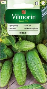 VG - Ogórek Polan F1 3,0G