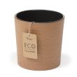 DONICZKA MALWA ECO DŁUTO - 2