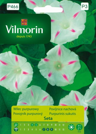 VG - Wilec purpurowy set biały 0,5g
