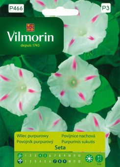 VG - Wilec purpurowy set biały 0,5g