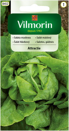 VG - SAŁATA MASŁOWA ATTRACTIE 1,0G