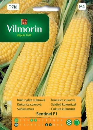VG - Kukurydza cukrowa SENTINEL F1 2,5g P4