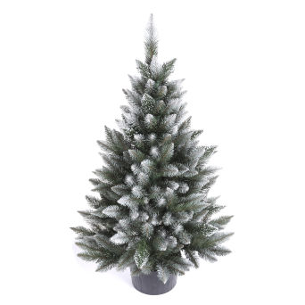 Świerk Diament w donicy 1,10cm