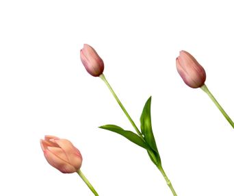 TULIPAN POJEDYNCZY GUMA 42CM - 2030234366PI