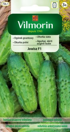 VG - Ogórek Jowisz grunt. 3g