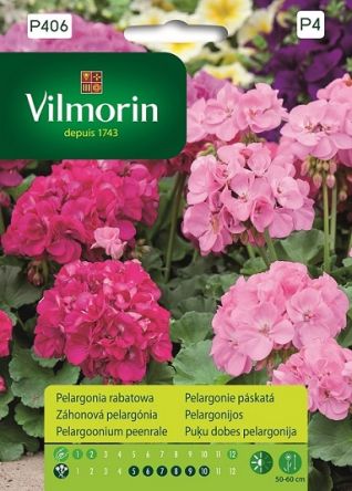 VG - Pelargonia rabatowa różowa 10z